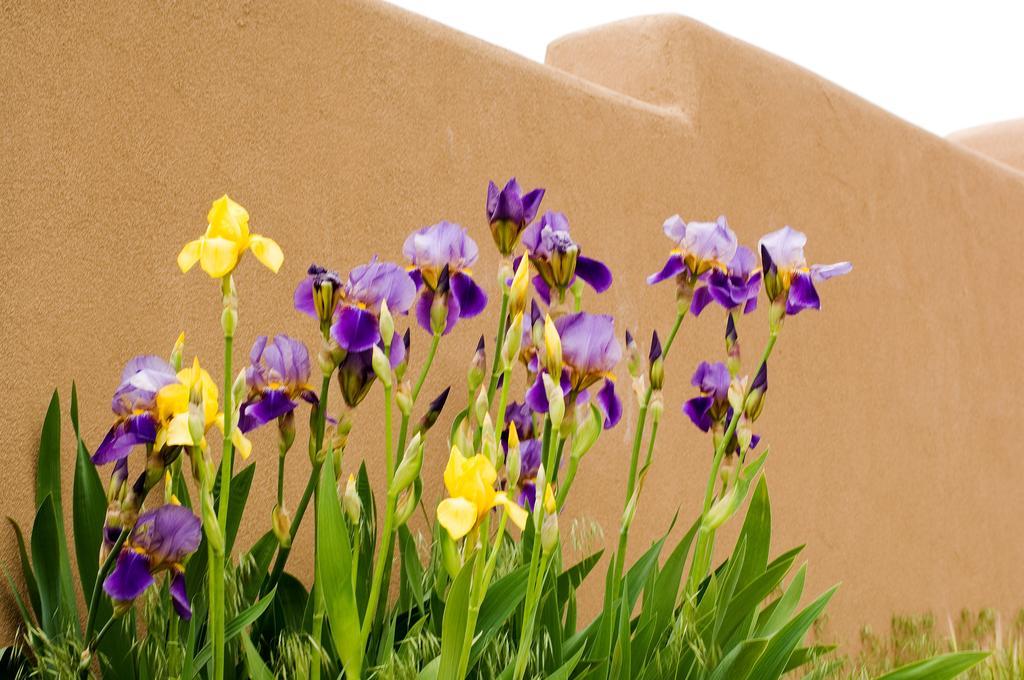 Fort Marcy Suites By All Seasons Resort Lodging Santa Fe Bagian luar foto